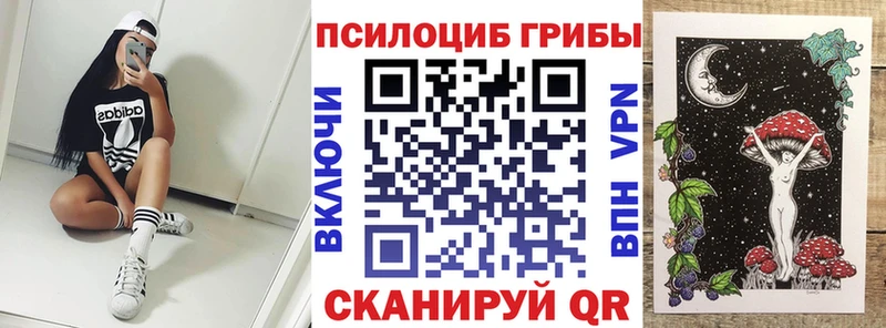 Купить закладки  Кировград  Галлюциногенные грибы GOLDEN TEACHER 